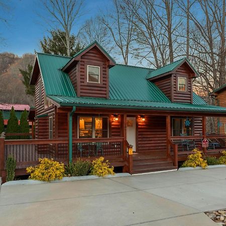 The Snow Owl Cabin Maggie Valley Eksteriør billede