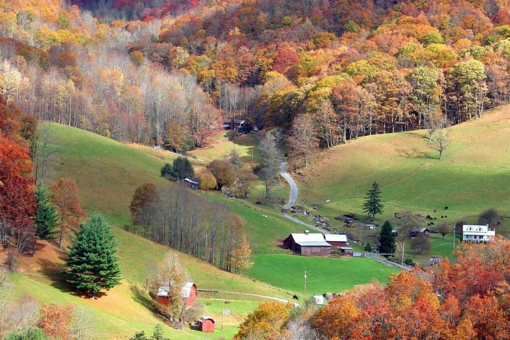 The Snow Owl Cabin Maggie Valley Eksteriør billede